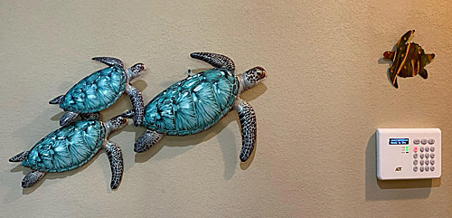 turtle installation at customer's home